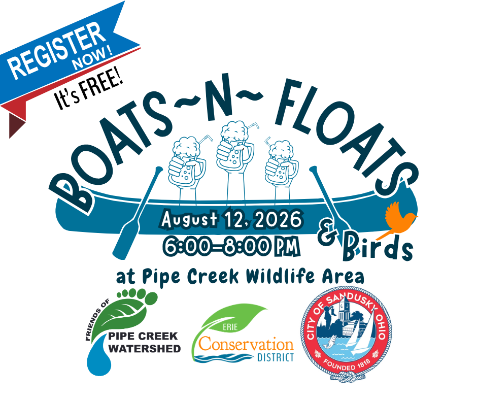 Boats ~N~ Floats & Birds