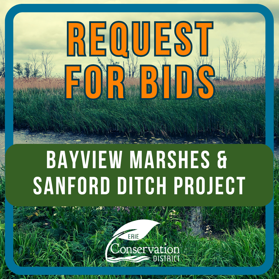BAYVIEW MARSHES AND SANFORD DITCH PROJECT